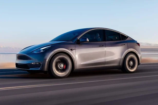 Tesla Model Y India