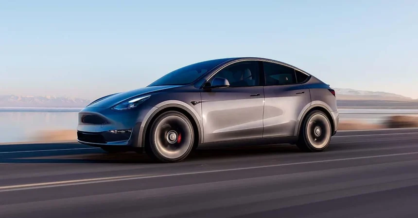 Tesla Model Y India